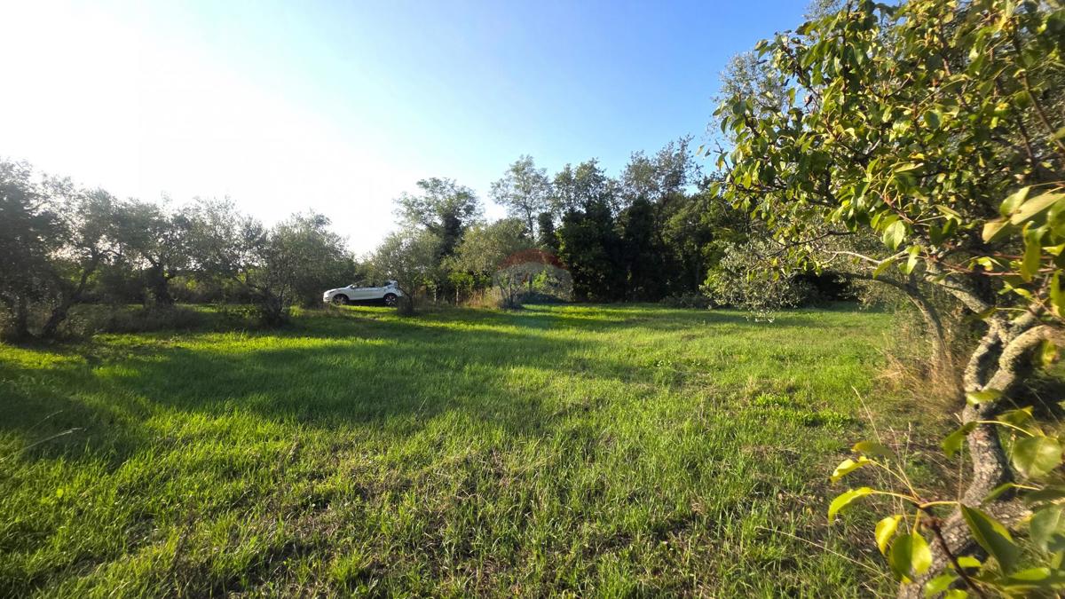 Casa Lovrečica, Umag, 41m2