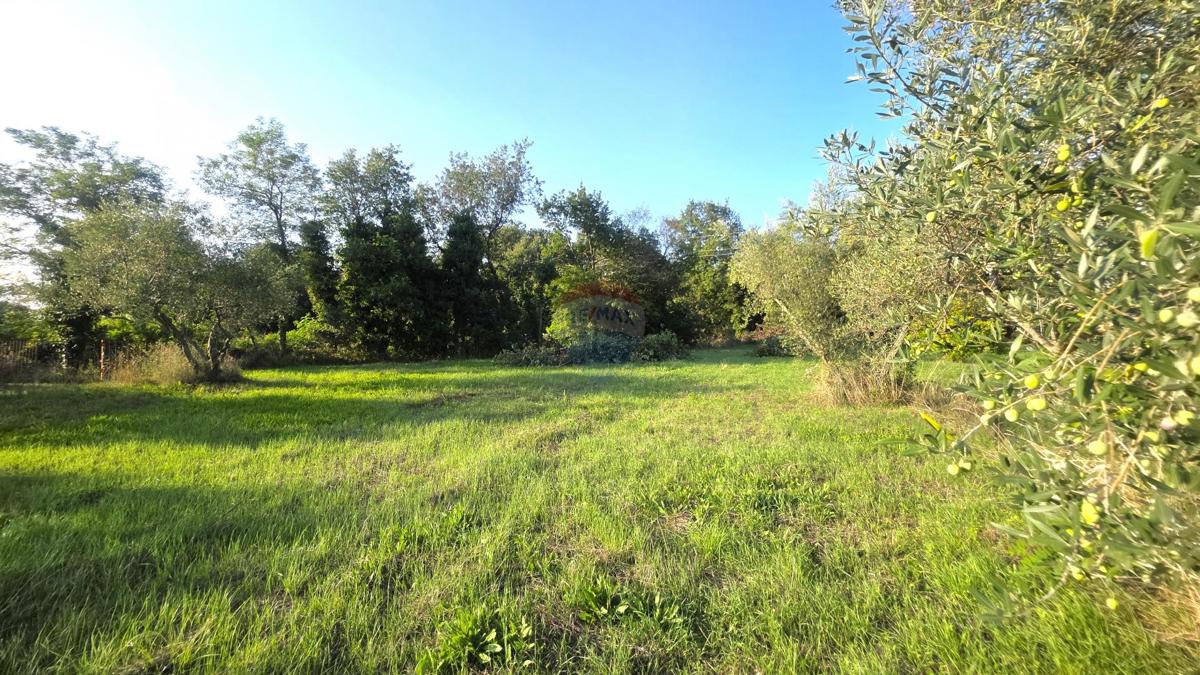 Casa Lovrečica, Umag, 41m2