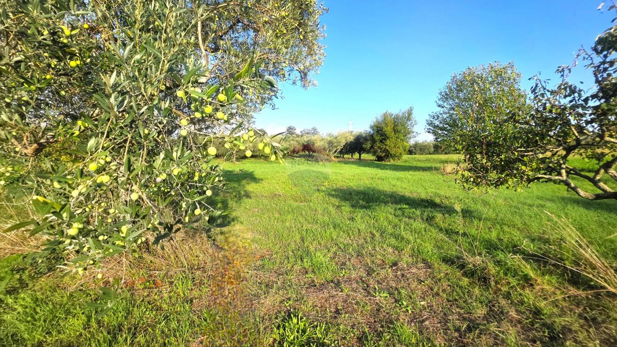 Casa Lovrečica, Umag, 41m2