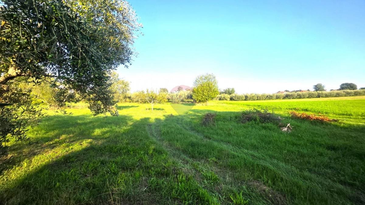 Casa Lovrečica, Umag, 41m2