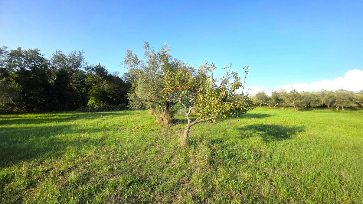 Casa Lovrečica, Umag, 41m2