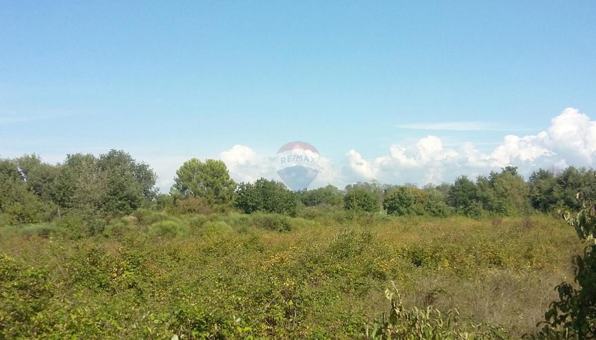 Terreno non edificabile Lovrečica, Umag, 3.156m2