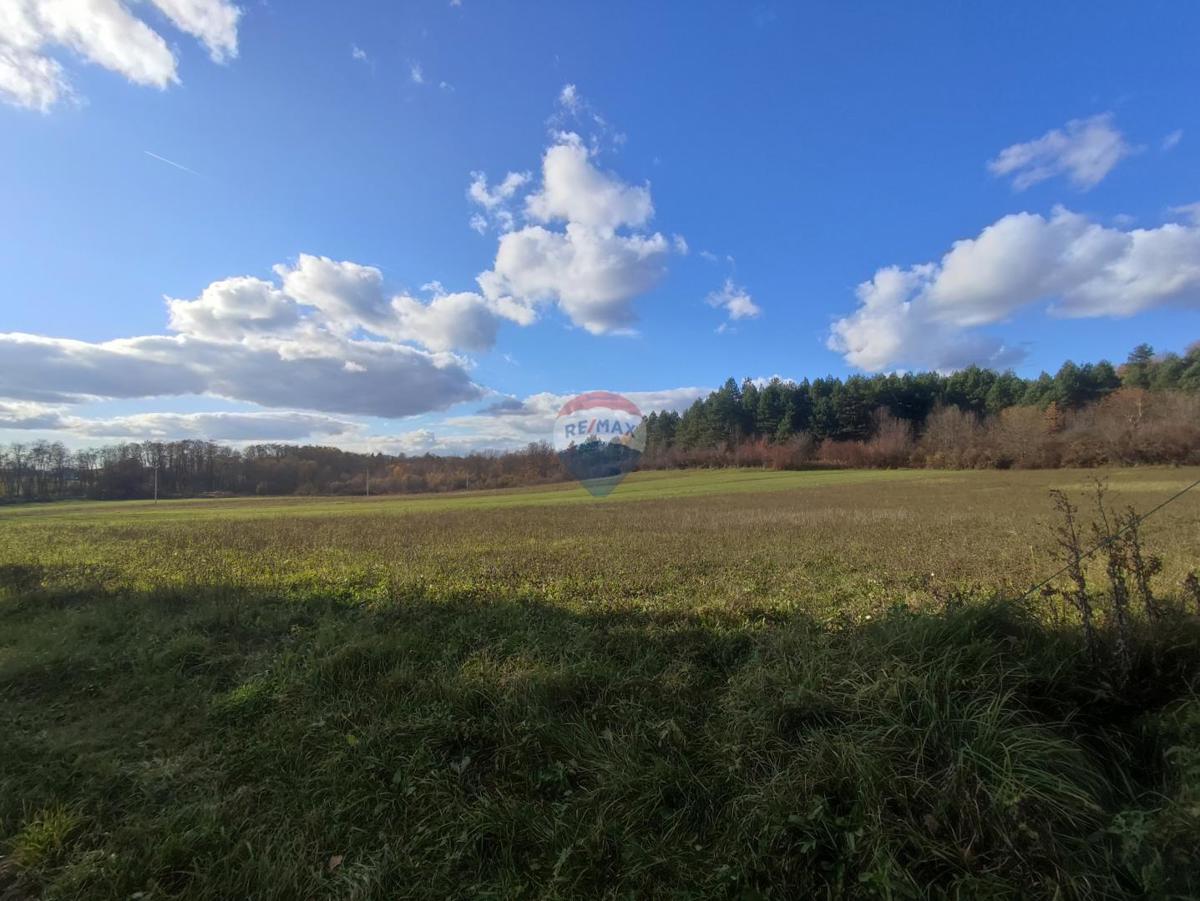 Casa Svojić, Barilovići, 100m2