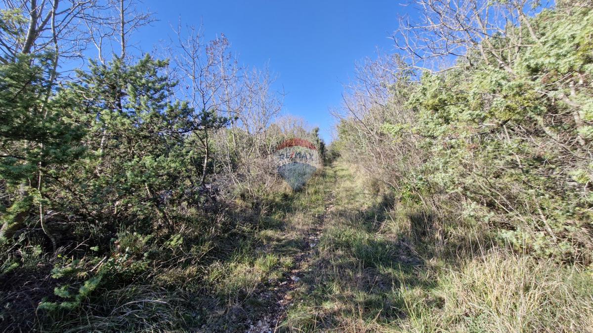 Terreno non edificabile Rakalj, Marčana, 5.532m2