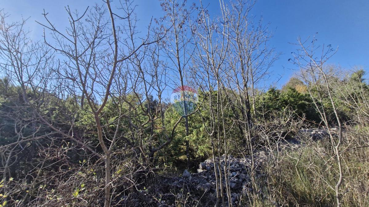 Terreno non edificabile Rakalj, Marčana, 5.532m2