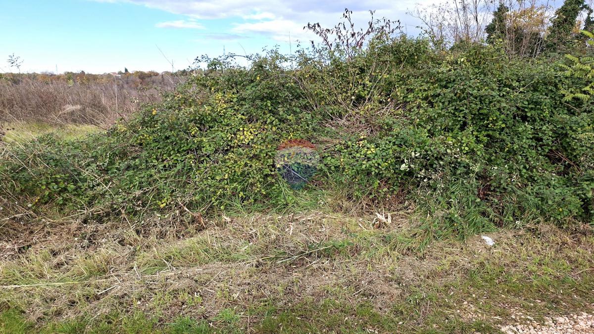 Terreno edificabile Murine, Umag, 898m2