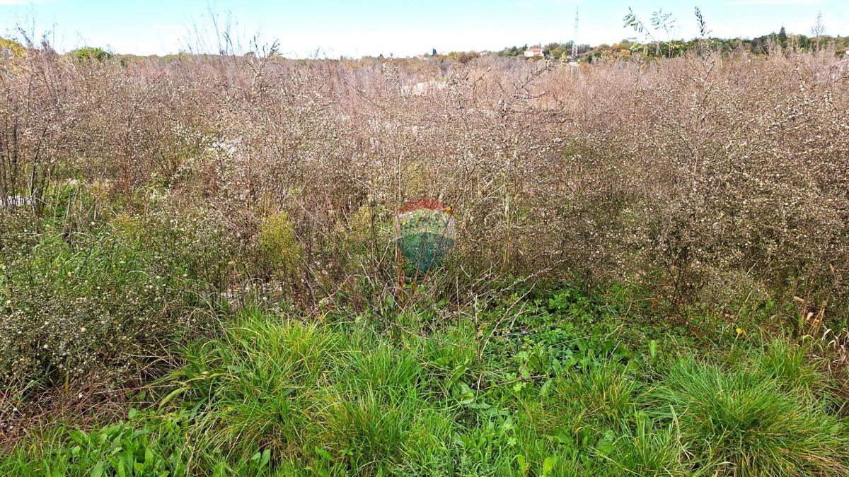 Terreno edificabile Murine, Umag, 898m2