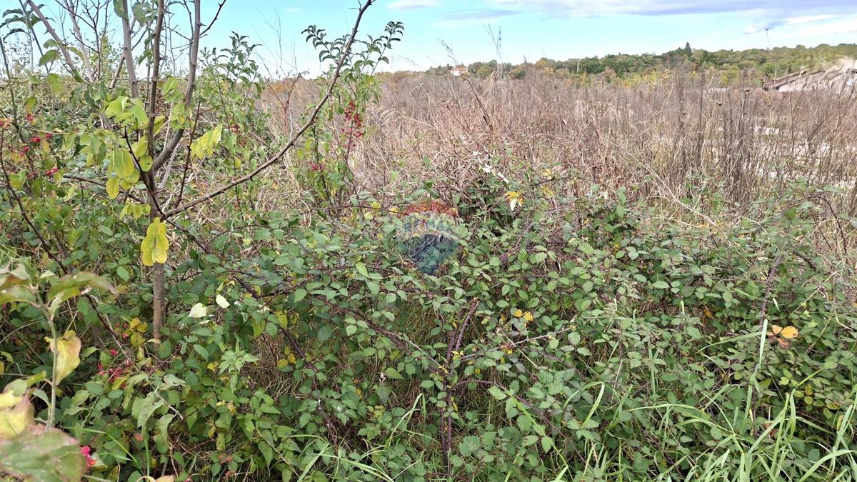 Terreno edificabile Murine, Umag, 898m2