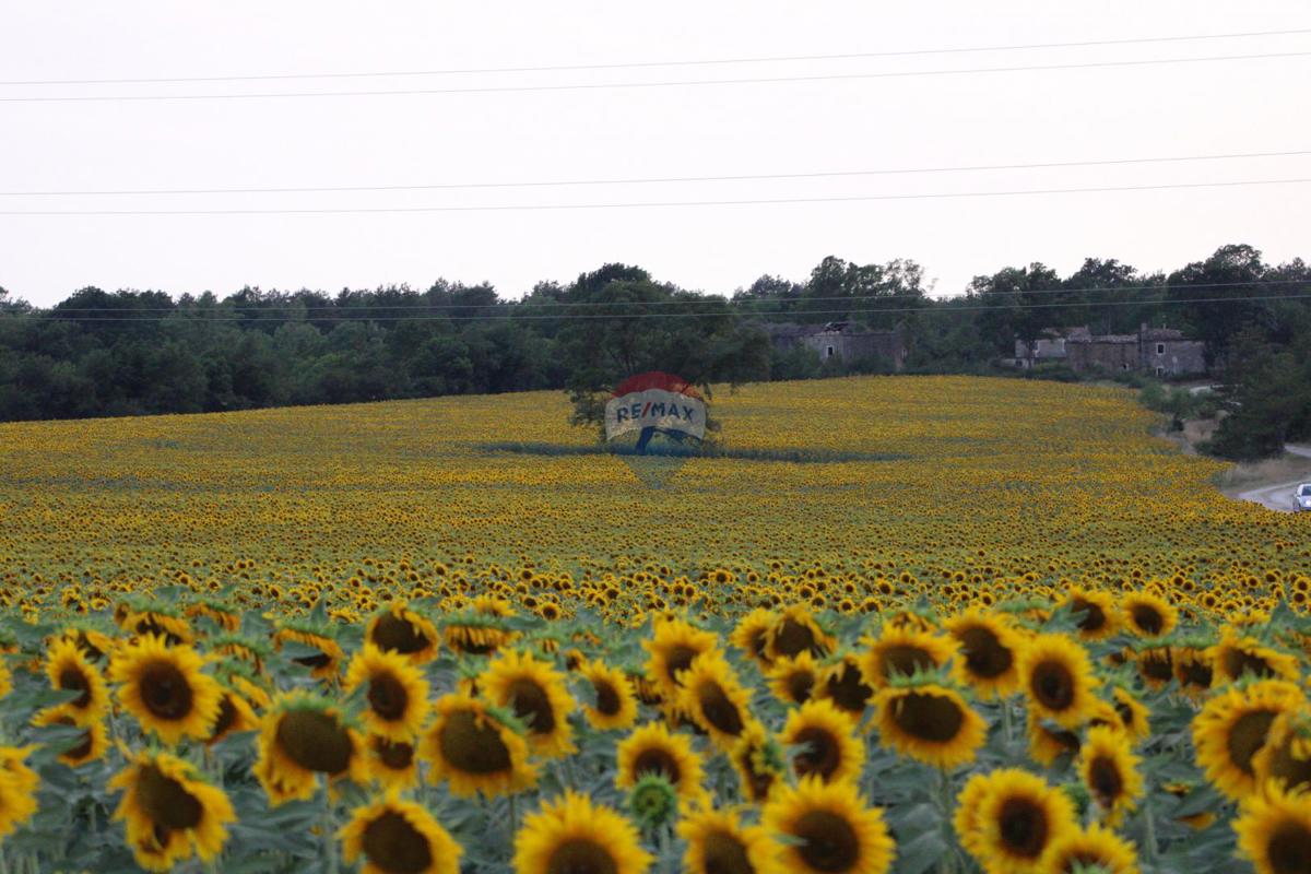 ISTRIA, KRŠAN - Tenuta con diverse case