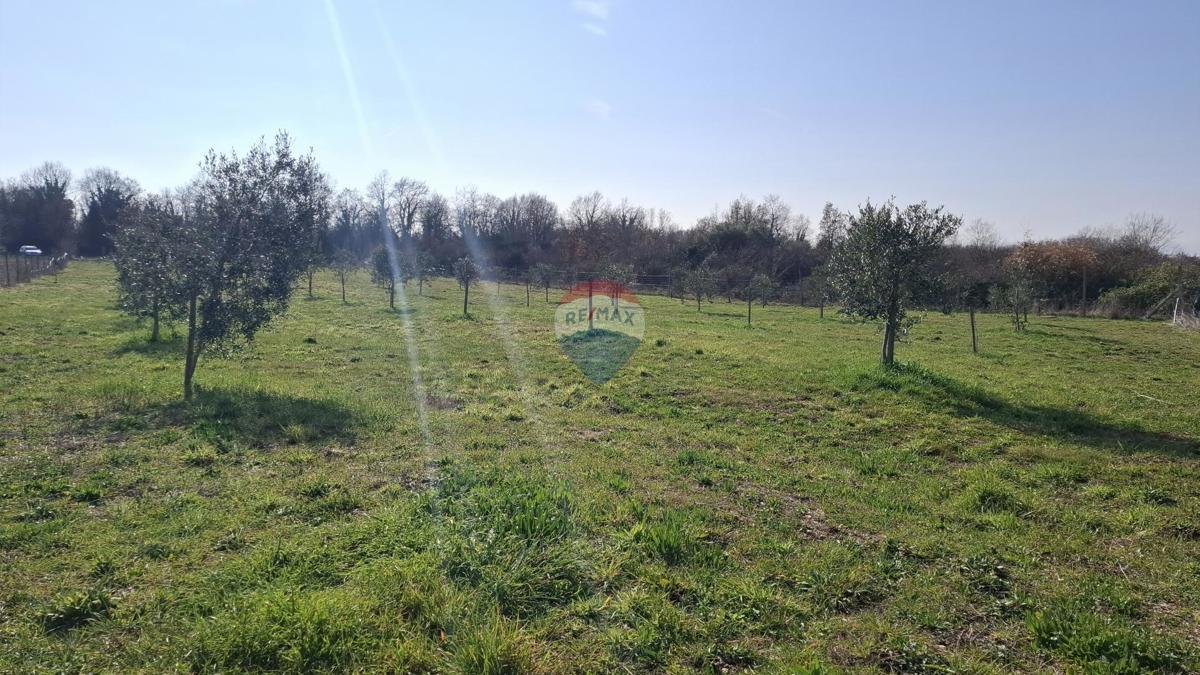 Istria, Kršin, Terreno agricolo 5.217 m²
