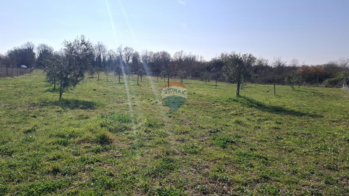 Istria, Kršin, Terreno agricolo 5.217 m²