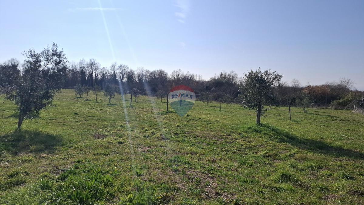 Istria, Kršin, Terreno agricolo 5.217 m²