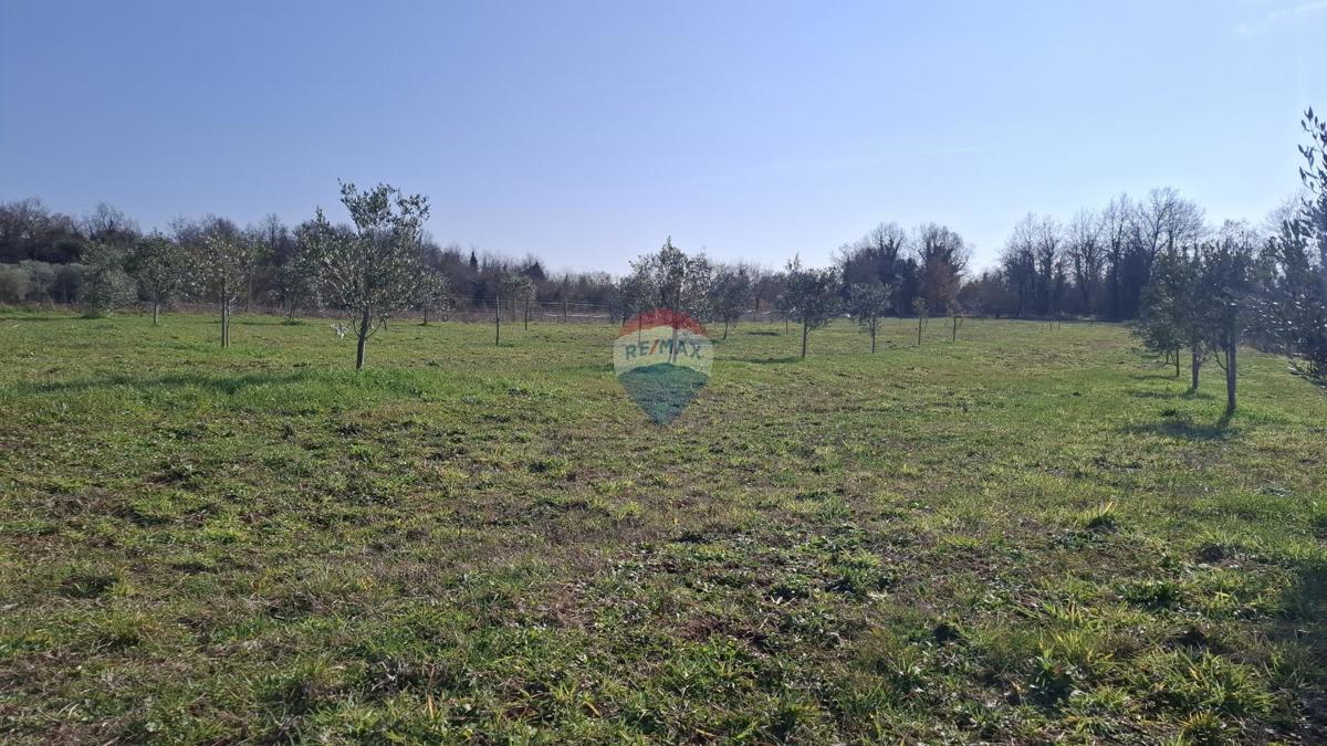 Istria, Kršin, Terreno agricolo 5.217 m²