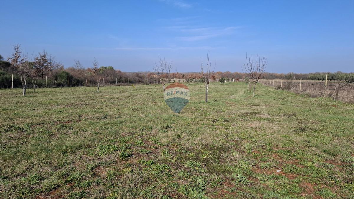 Istria, Kršin, Terreno agricolo 5.217 m²