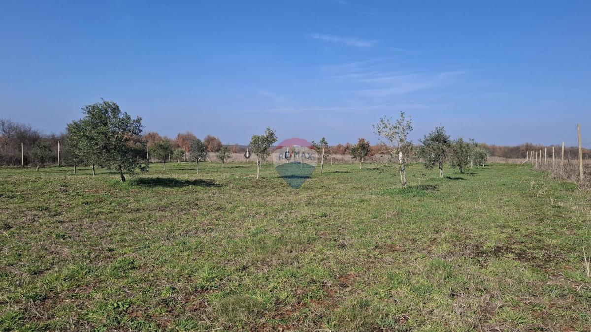 Istria, Kršin, Terreno agricolo 5.217 m²