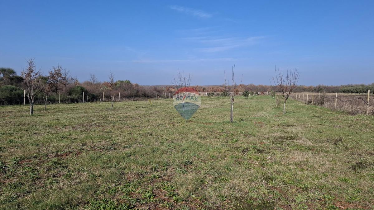 Istria, Kršin, Terreno agricolo 5.217 m²