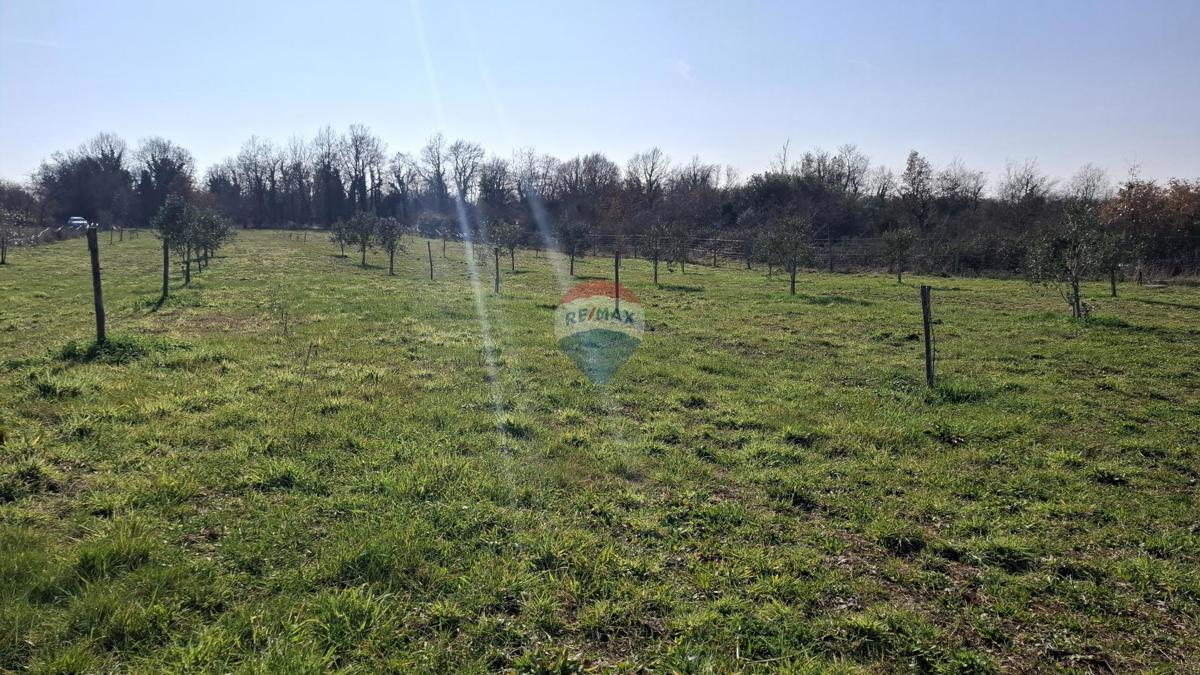 Istria, Kršin, Terreno agricolo 5.217 m²