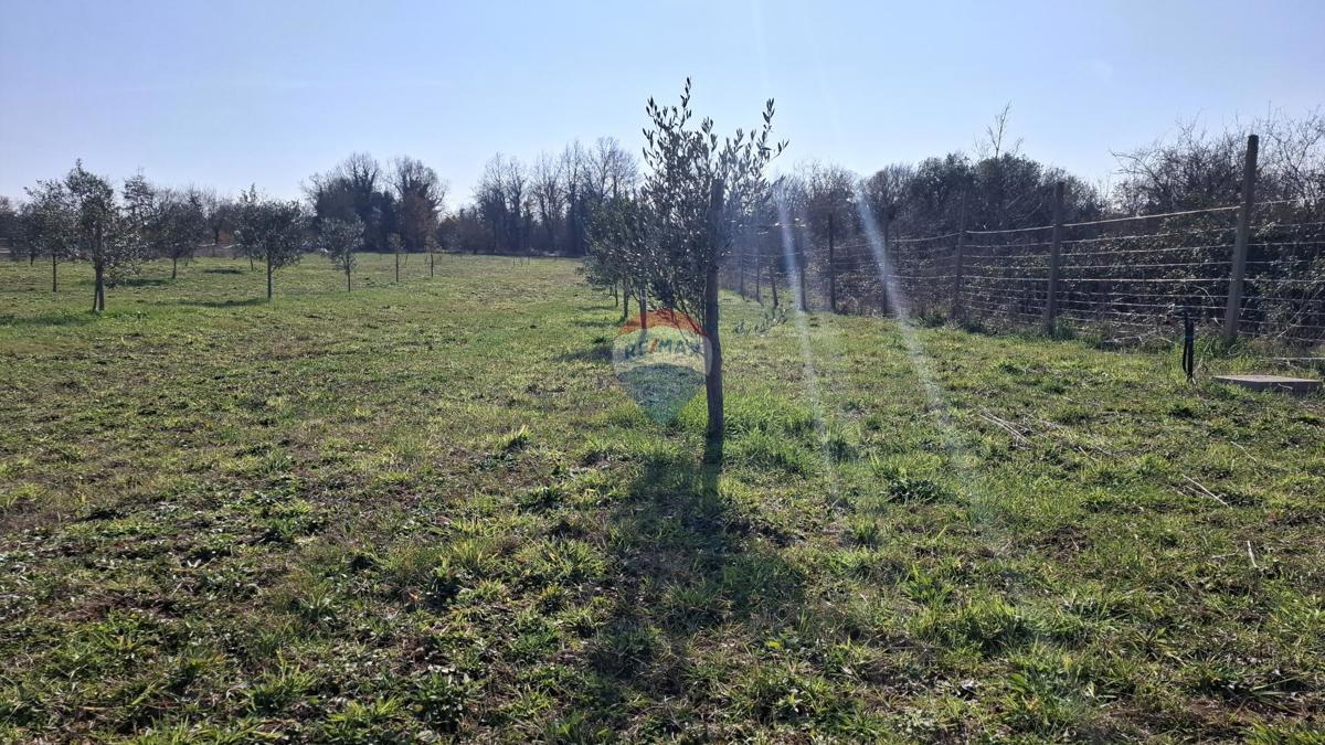 Istria, Kršin, Terreno agricolo 5.217 m²
