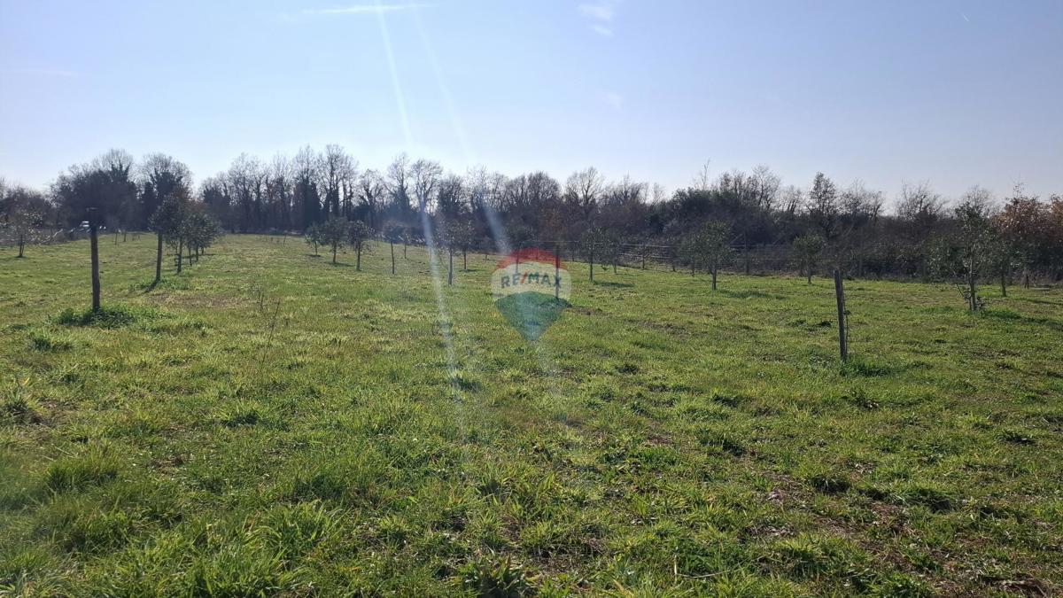 Istria, Kršin, Terreno agricolo 5.217 m²