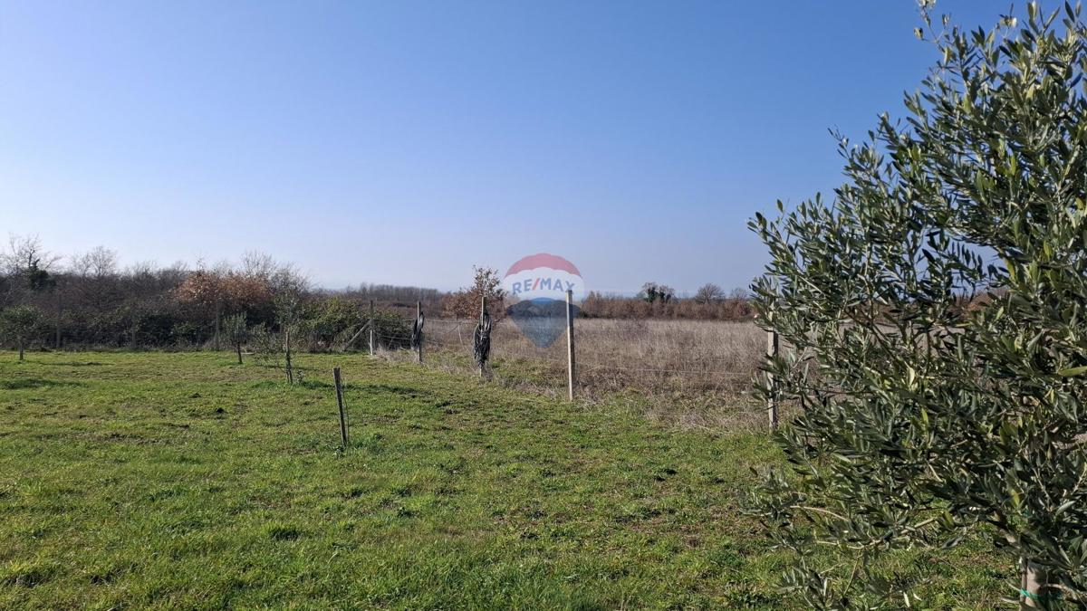 Istria, Kršin, Terreno agricolo 5.217 m²