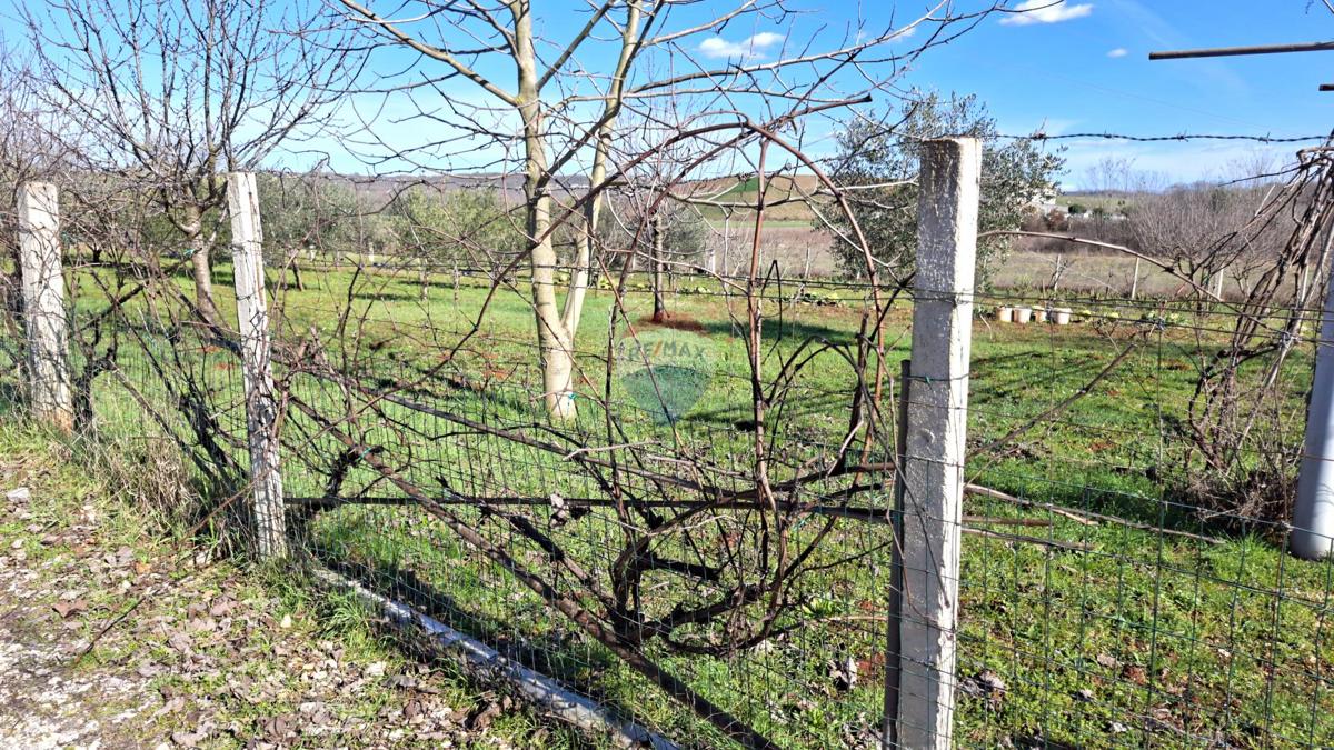 Terreno non edificabile Materada, Umag, 4.260m2