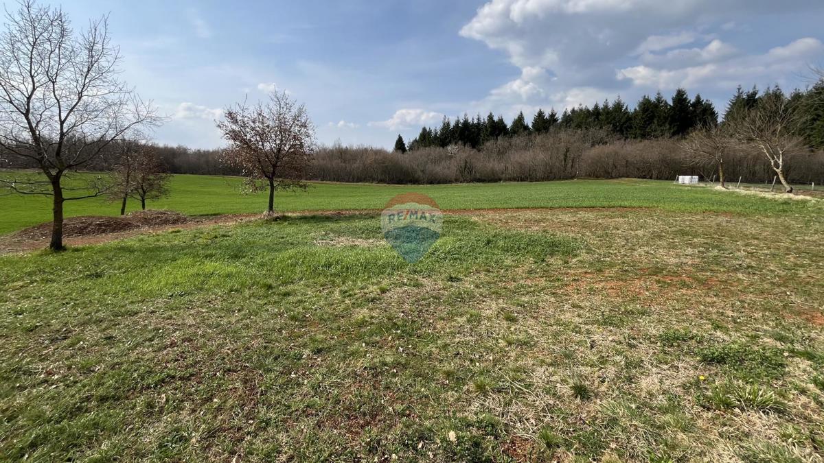 Terreno non edificabile Markovići, Vižinada, 11.458m2