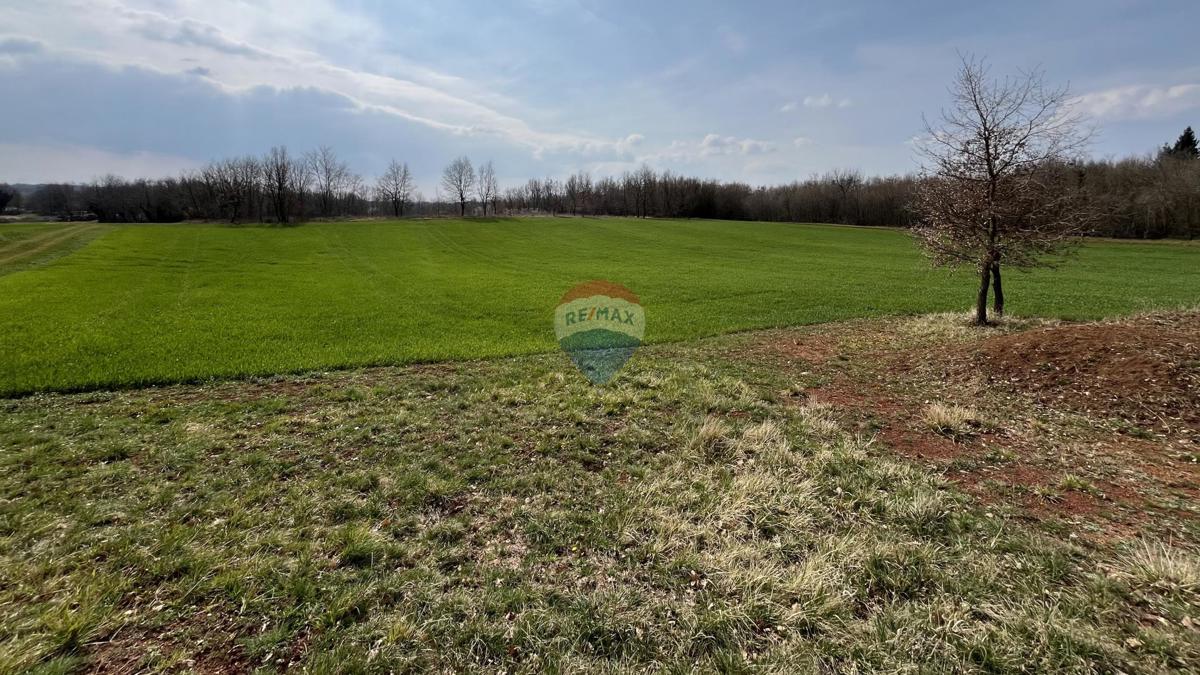 Terreno non edificabile Markovići, Vižinada, 11.458m2