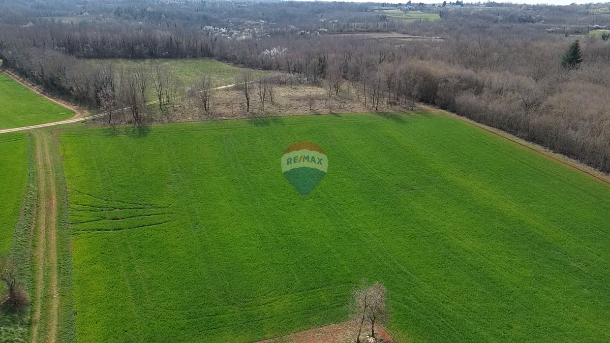 Terreno non edificabile Markovići, Vižinada, 11.458m2
