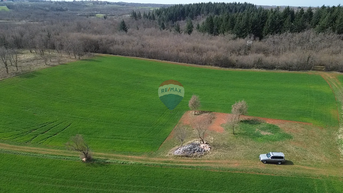 Terreno non edificabile Markovići, Vižinada, 11.458m2