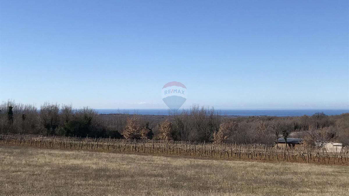 Terreno edificabile Višnjan, 960m2