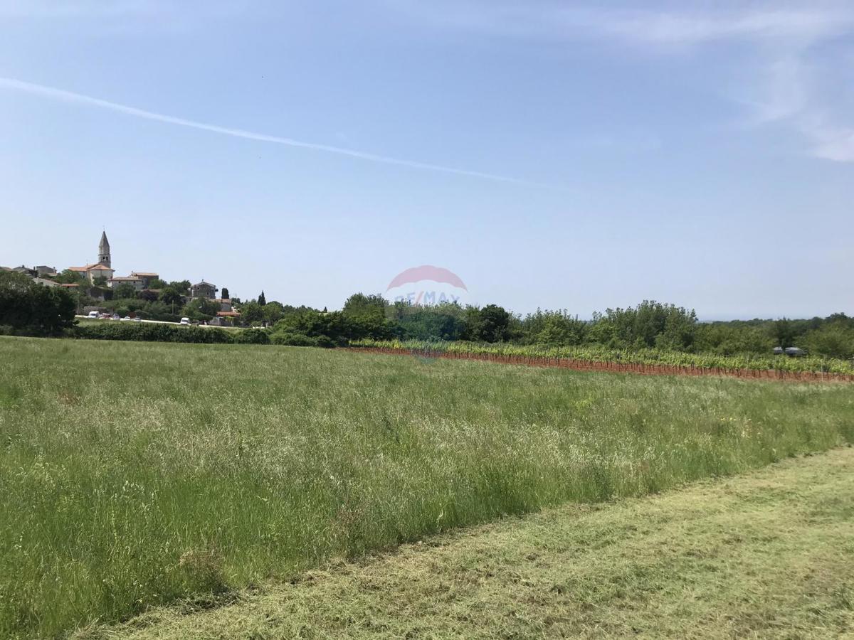 Terreno edificabile Višnjan, 960m2