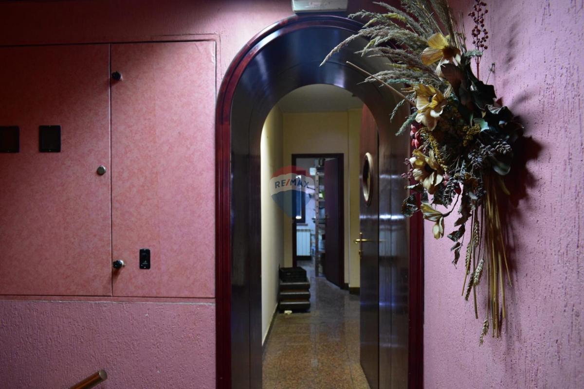 Attività commerciale Viškovo, 560.000m2