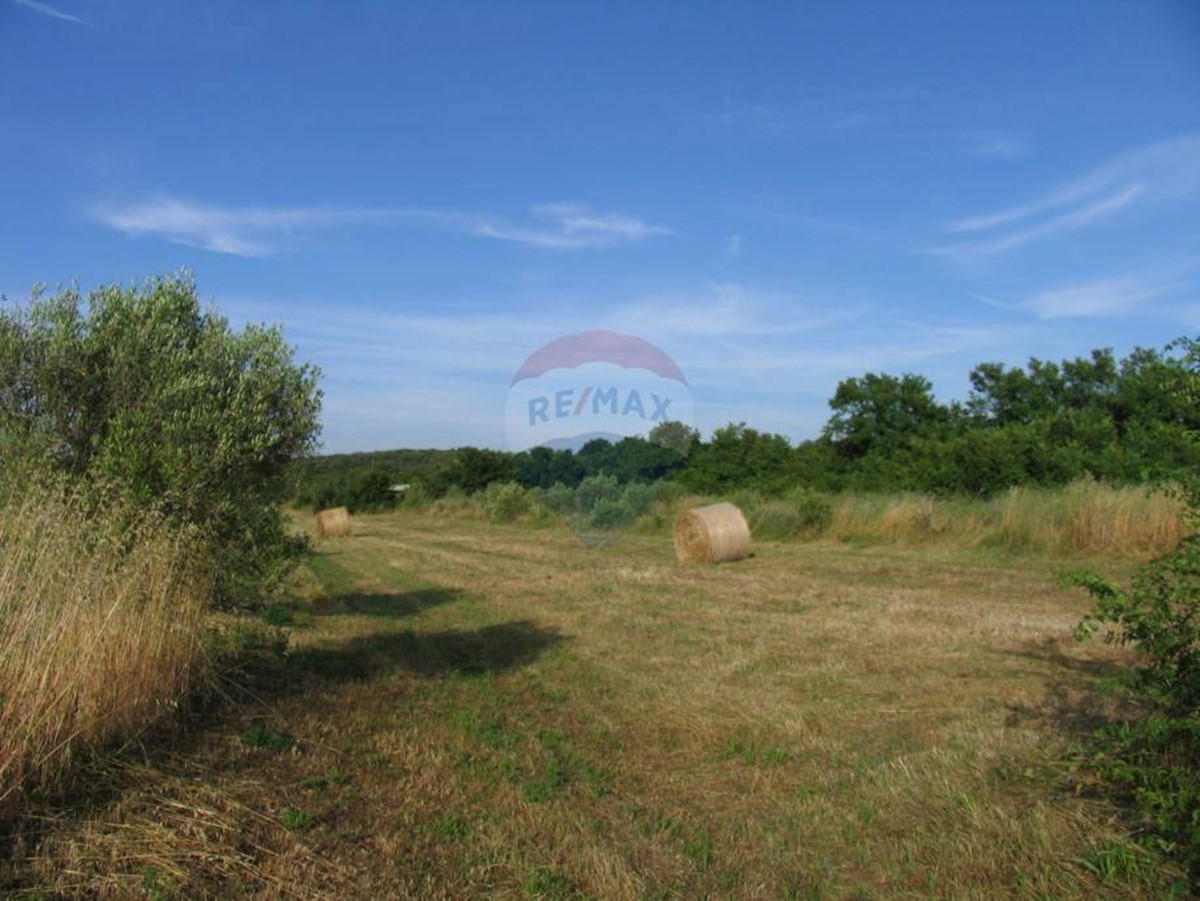 Terreno non edificabile Rovinj, 9.743m2