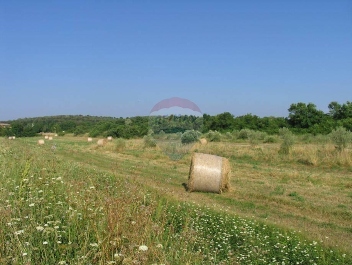 Terreno non edificabile Rovinj, 9.743m2