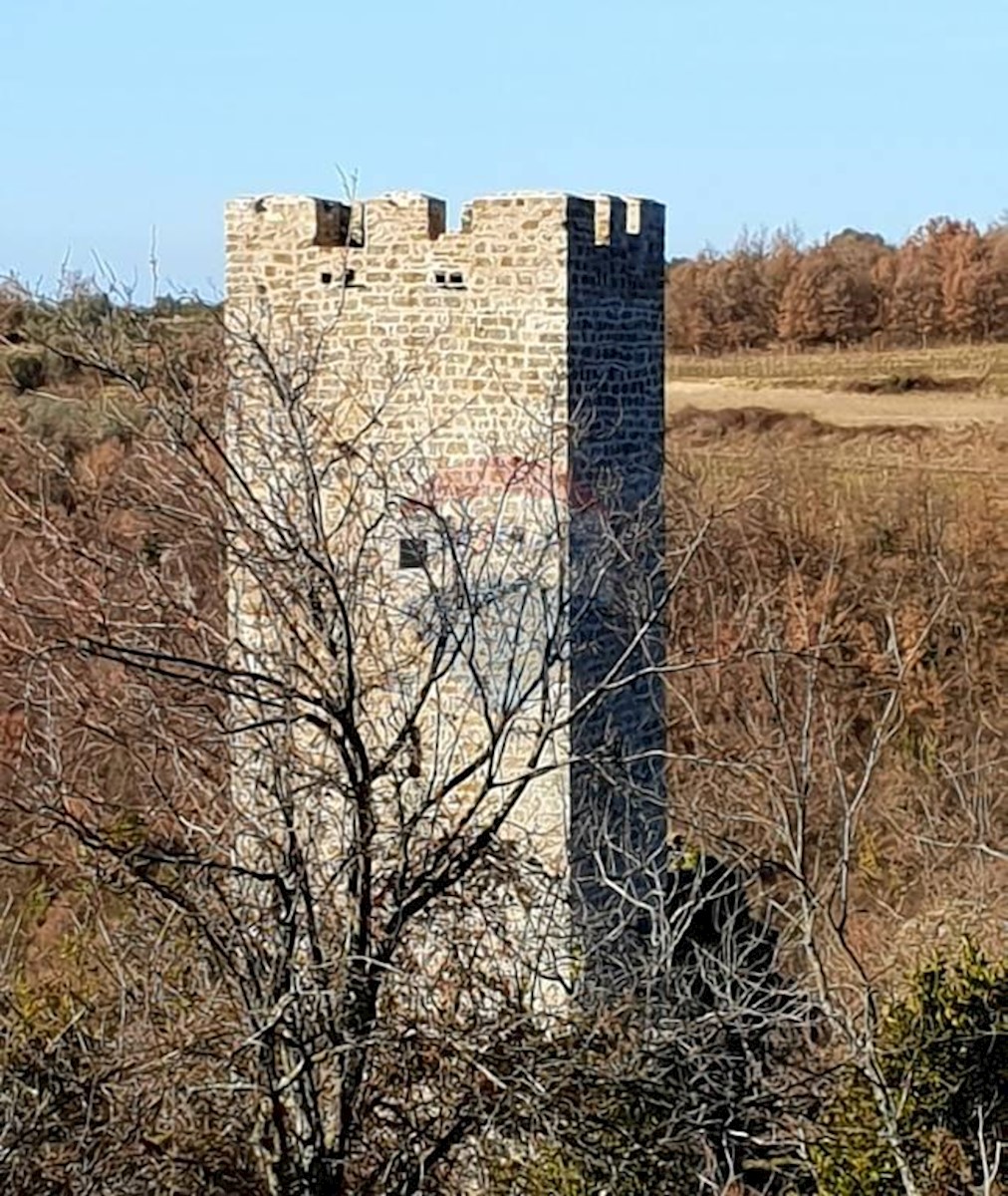 Villa Singola Momjan, Buje, 676m2