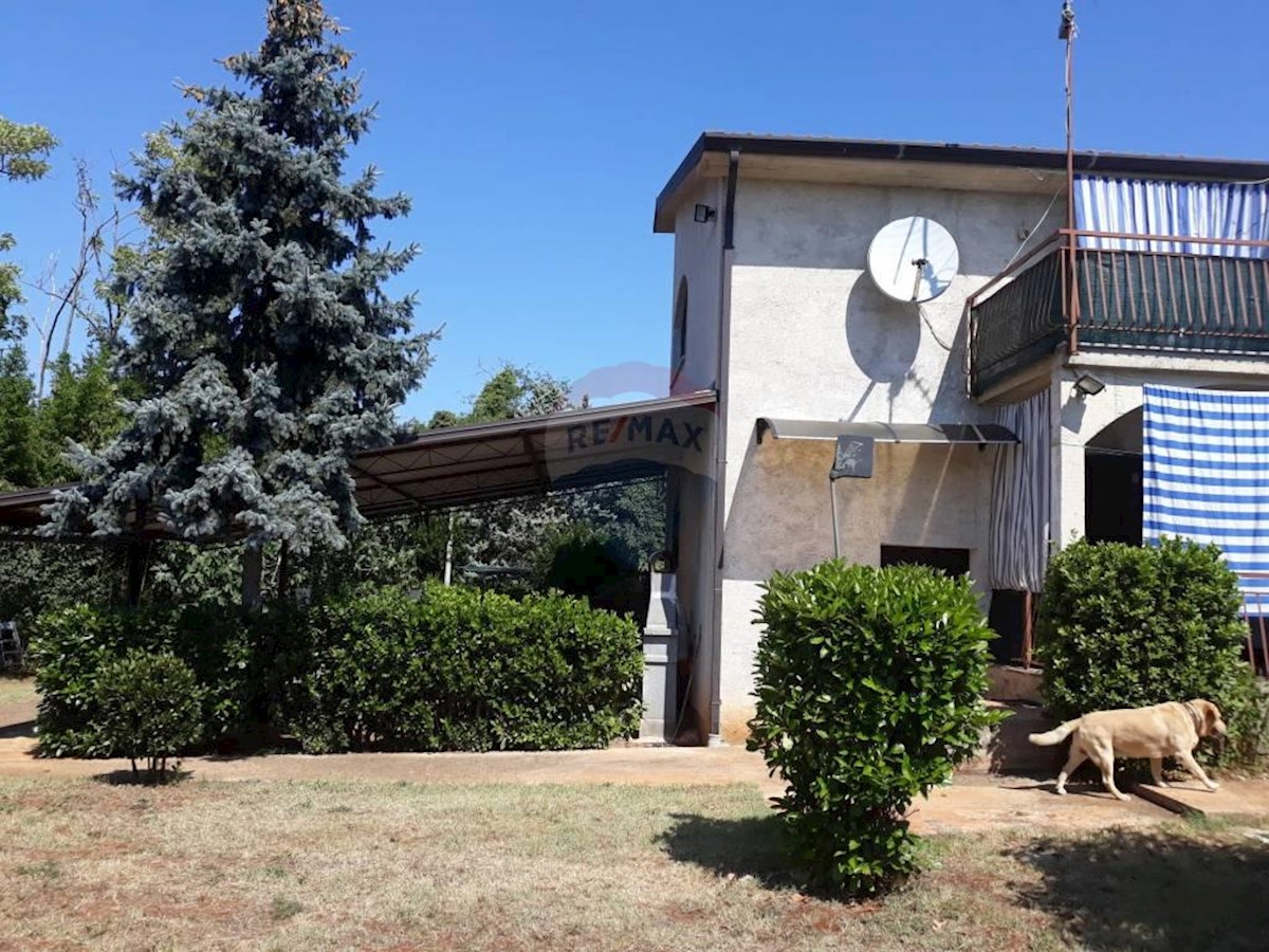 Villa Singola Petrovija, Umag, 420m2