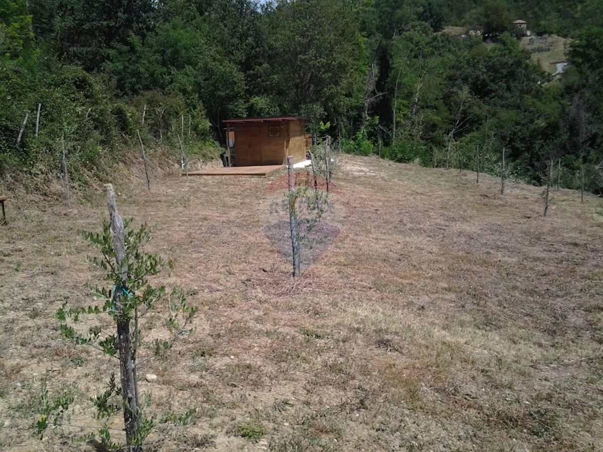 Terreno agricolo Grimalda, Cerovlje, 22.800m2