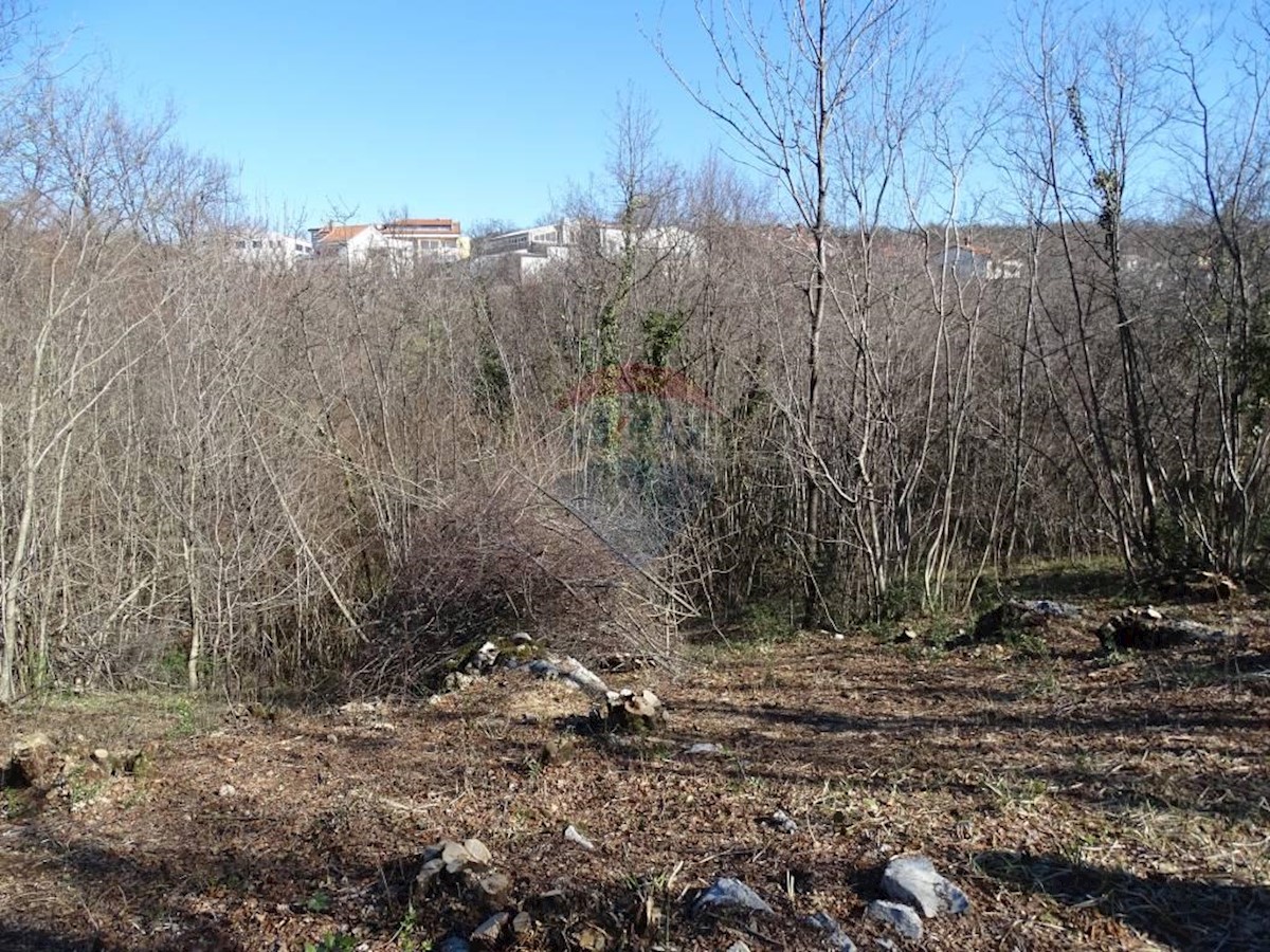 Terreno non edificabile Jušići, Matulji, 2.095m2