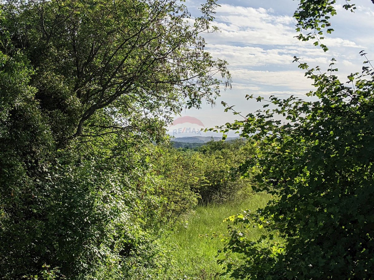 Terreno non edificabile Rovinjsko Selo, Rovinj, 1.000m2