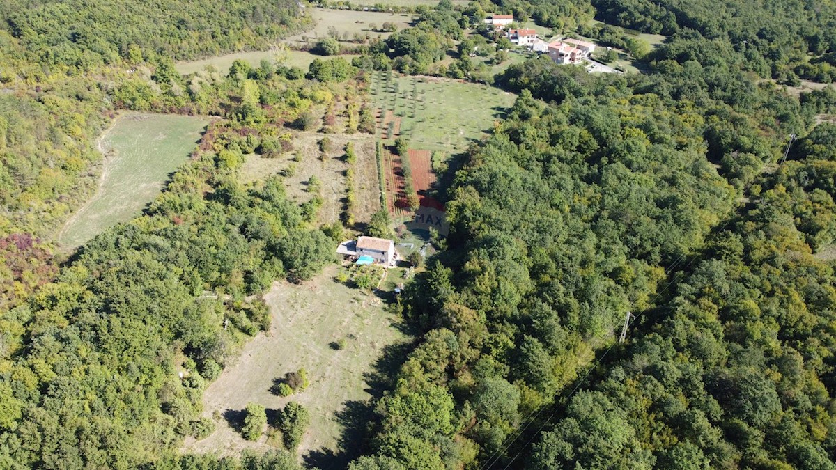 ISTRIA, LABIN - Stone house for renovation in seclusion with 27800 m2 garden