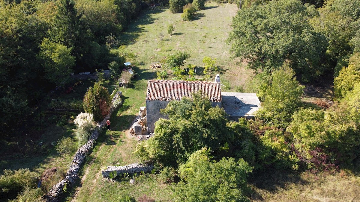 ISTRIA, LABIN - Stone house for renovation in seclusion with 27800 m2 garden