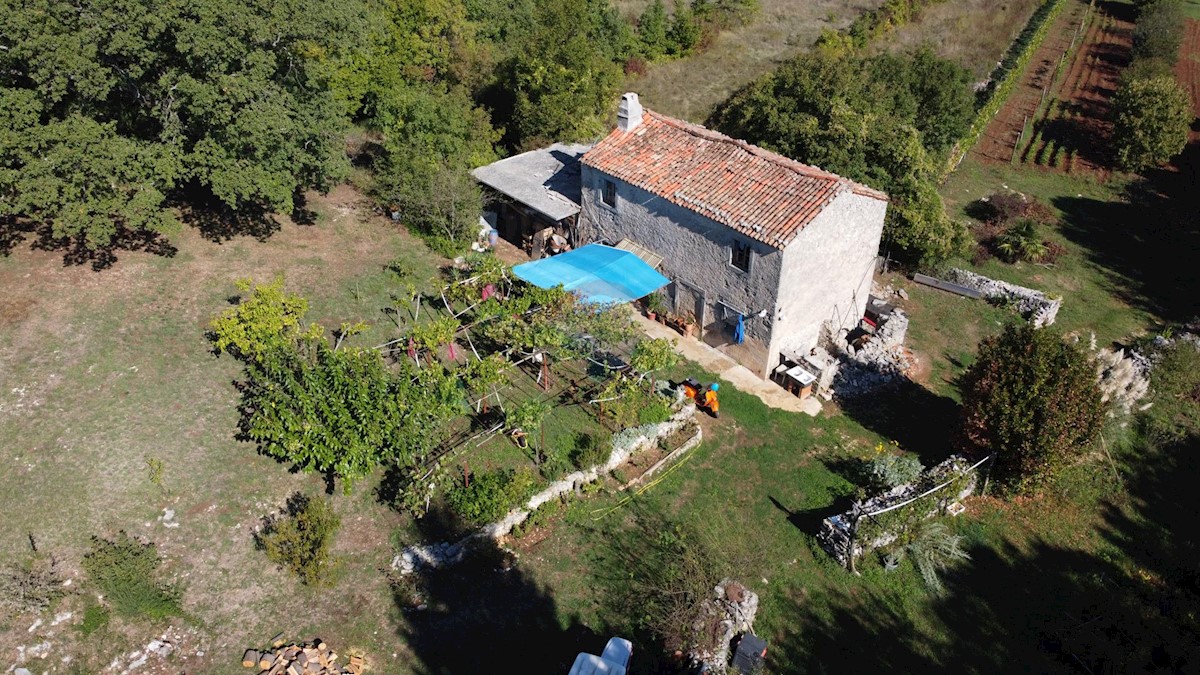 ISTRIA, LABIN - Stone house for renovation in seclusion with 27800 m2 garden