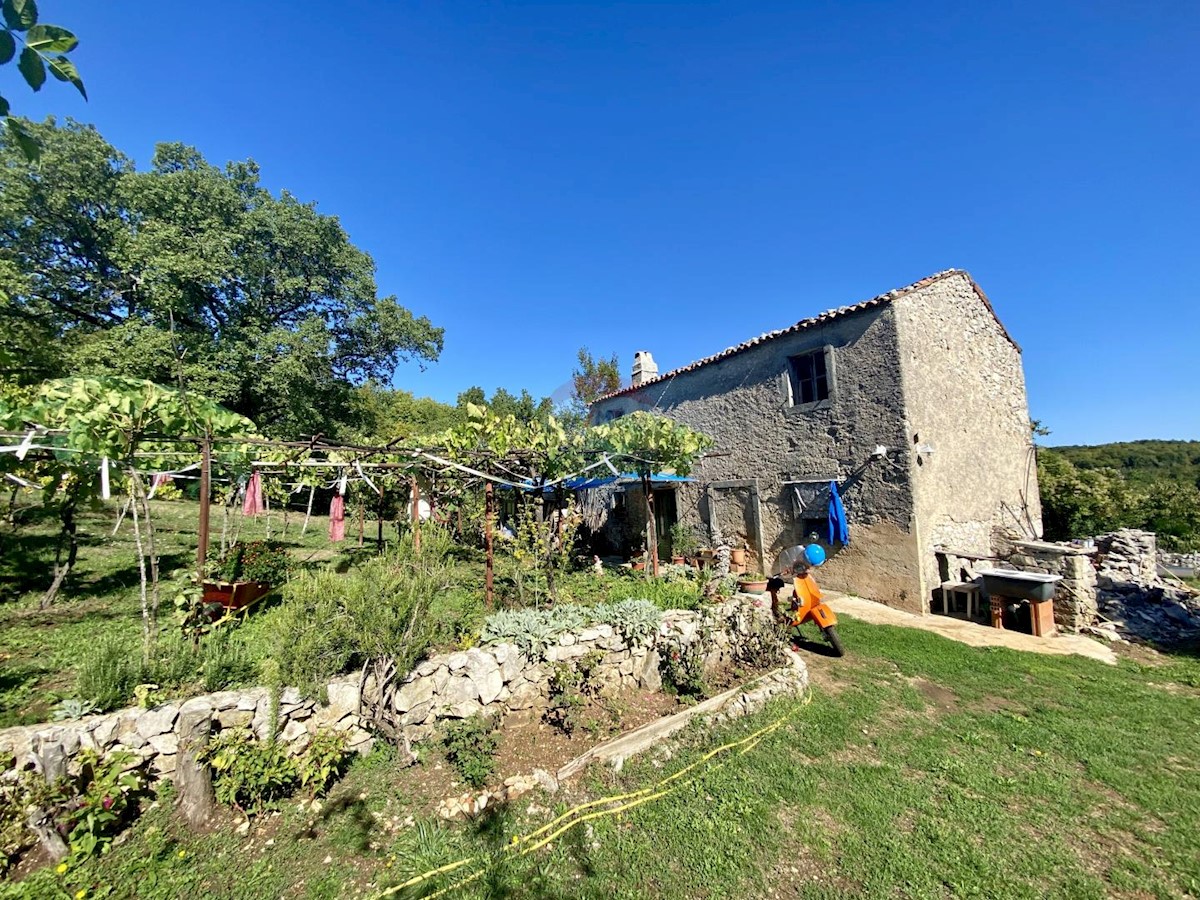 ISTRIA, LABIN - Stone house for renovation in seclusion with 27800 m2 garden