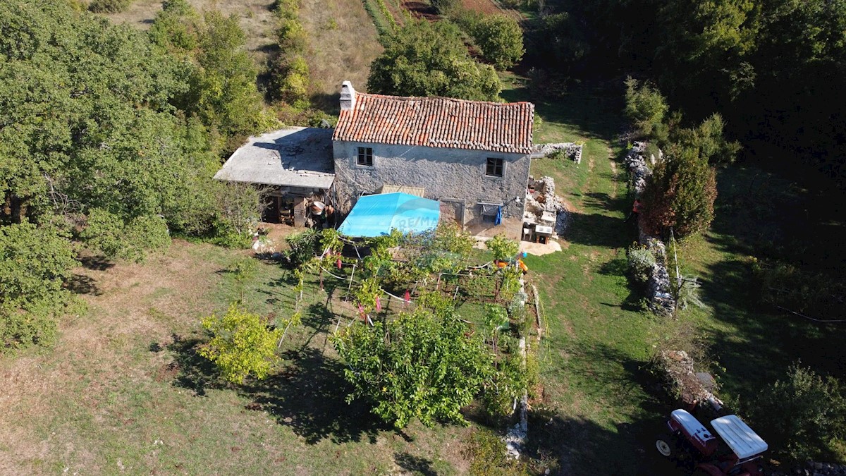 ISTRIA, LABIN - Stone house for renovation in seclusion with 27800 m2 garden