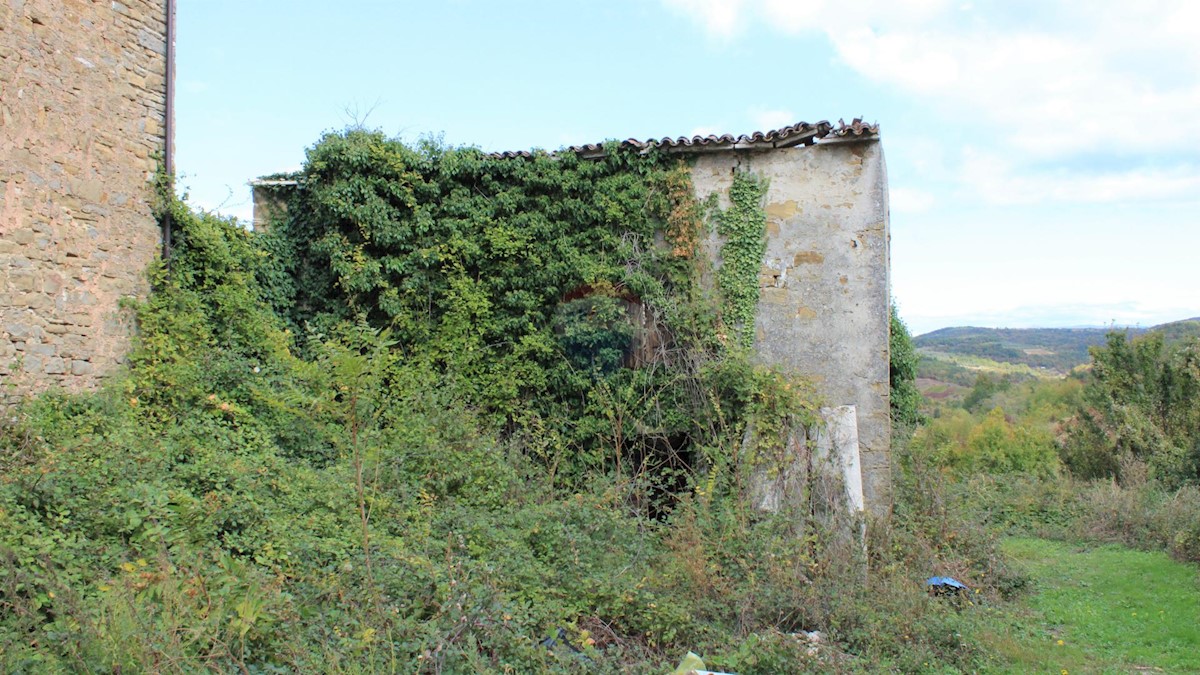 Villa Singola/Casa Vacanza Buje, 460m2