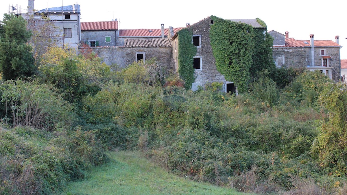 Villa Singola/Casa Vacanza Buje, 460m2