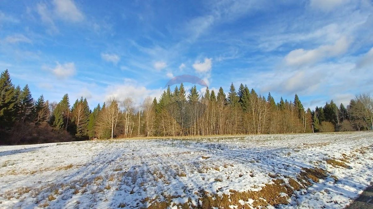 Terreno edificabile Leskova Draga, Ravna Gora, 8.207m2