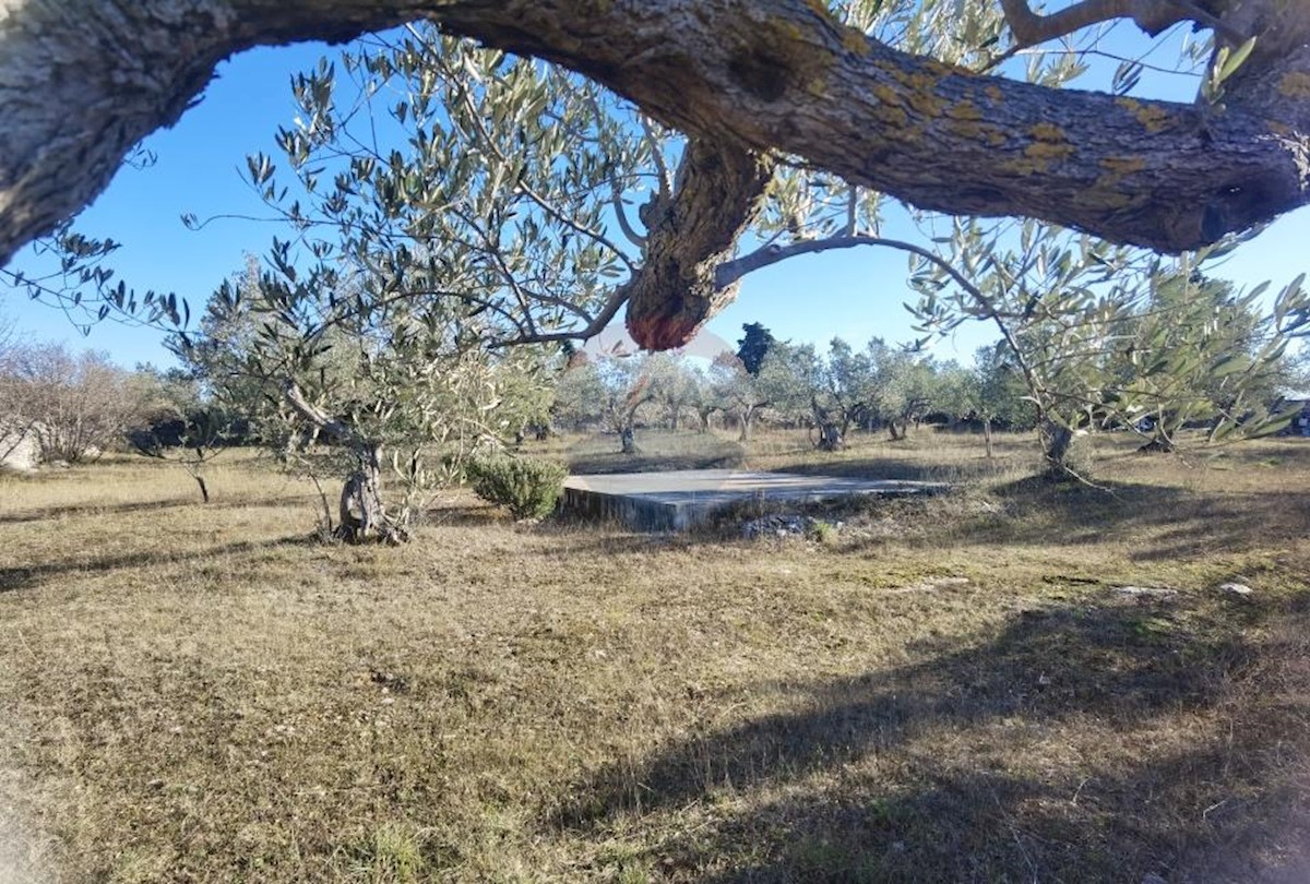 Terreno non edificabile Fažana, 2.264m2