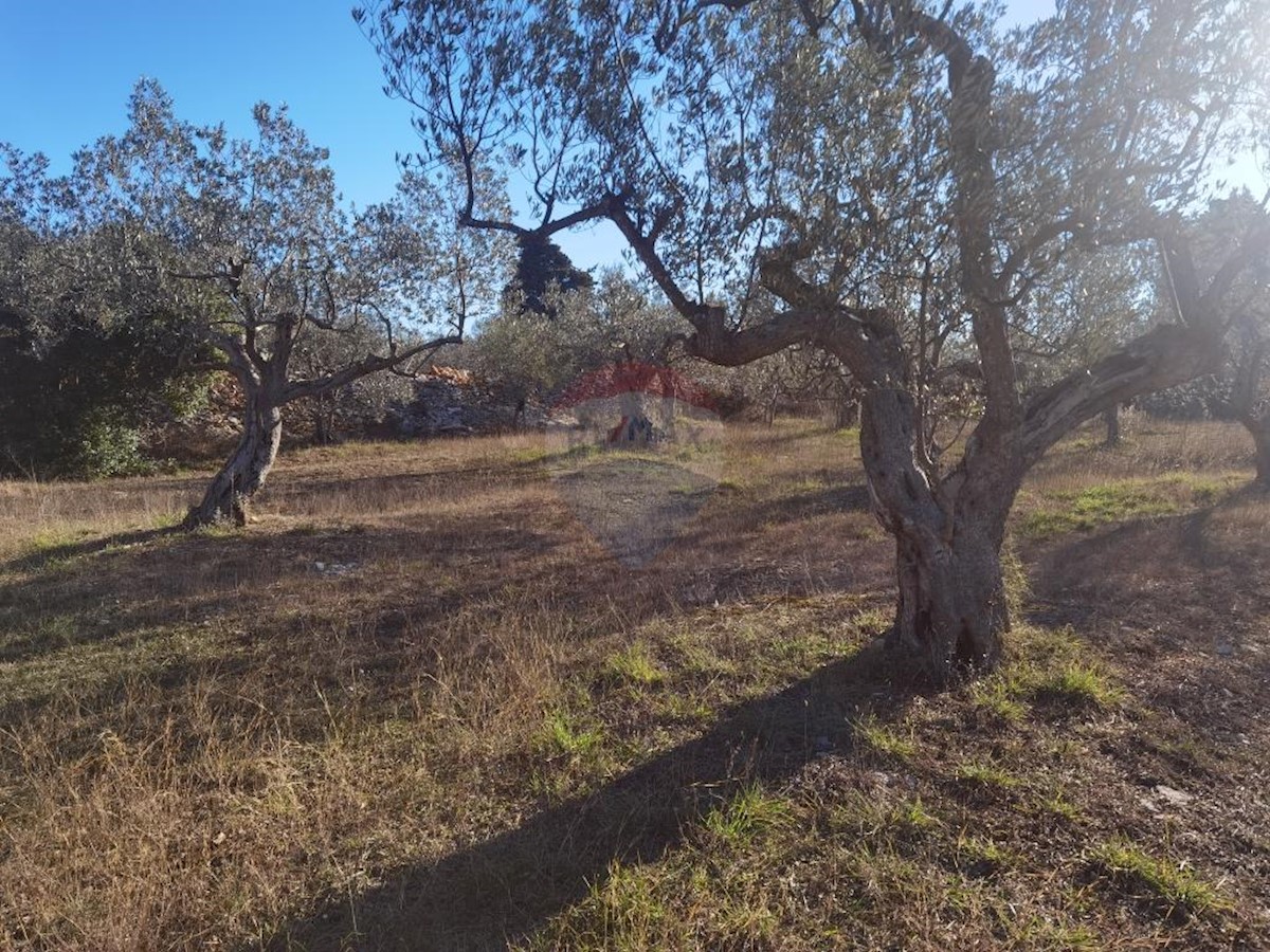 Terreno non edificabile Fažana, 2.264m2