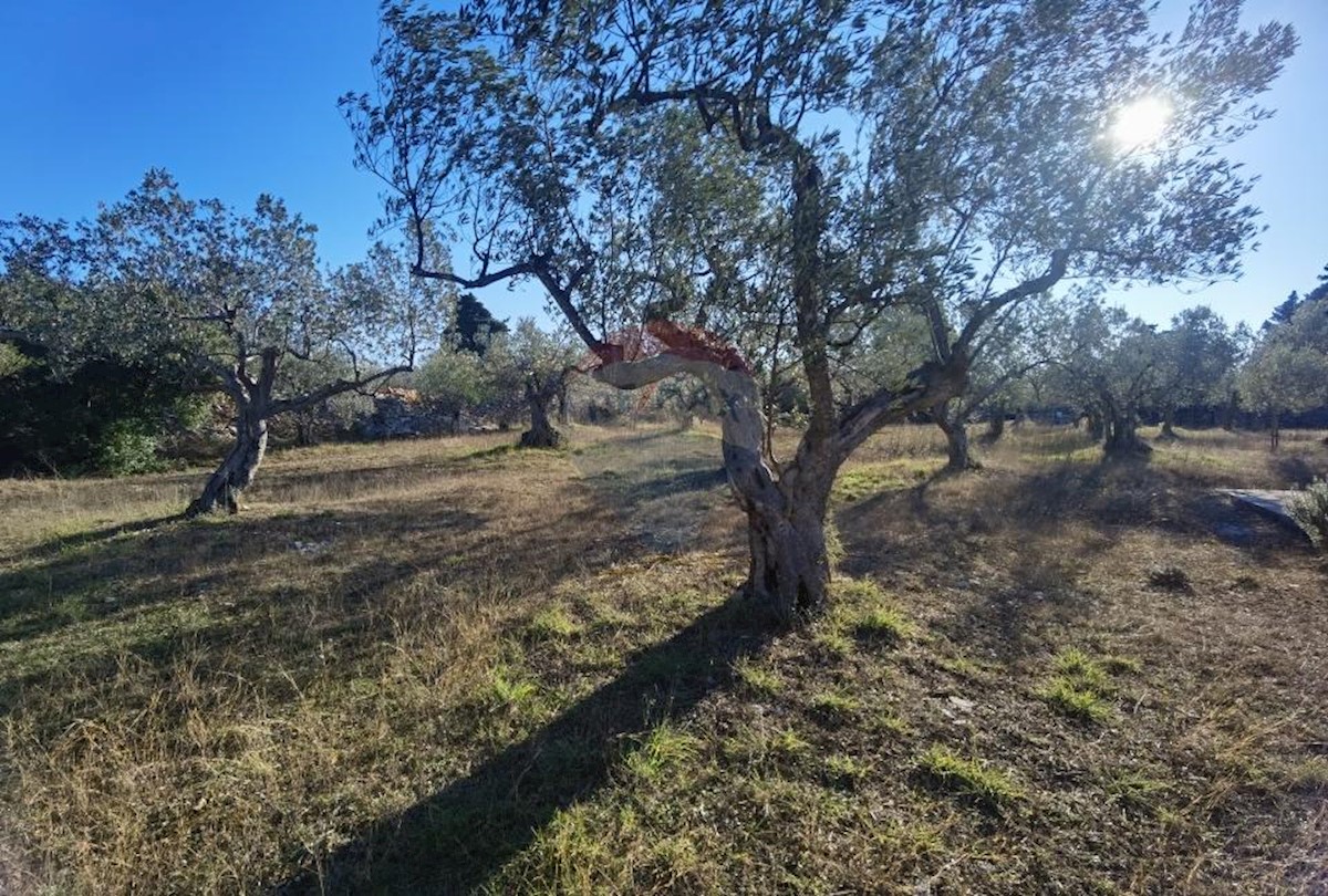 Terreno non edificabile Fažana, 2.264m2